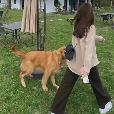 恐慌年代